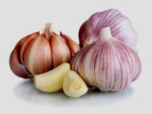 Garlic Bulb (6 Pack), Fresh Siberian HARDNECK Garlic Bulb for Planting