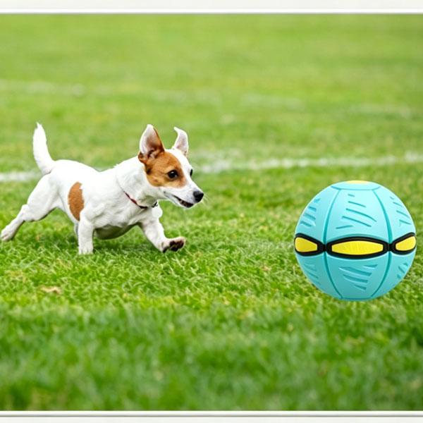 Magic Bouncing Ball, Magic Ball 6-Light Dual Form – Pop up, Flying Saucer Bouncy, Interactive Bouncing Balls for Parent, Outdoor Interactive Magic Meta Ball