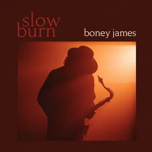 Boney James - Slow Burn  [COMPACT DISC - CD]