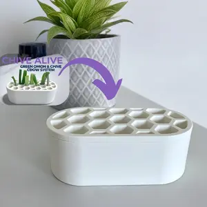 Scallion Regeneration Kit, No Skill Required, Quick Growing Onion Planting Set, Ideal for Indoor Gardening & Tiny Areas