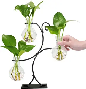 2025 New Desktop Plant Propagation Stations, Plant Terrarium with Metal Stand, 3 Bulb Glass Propagation Vases for Hydroponic Plants, Home Office Decor Planter Gardening Gifts for Women