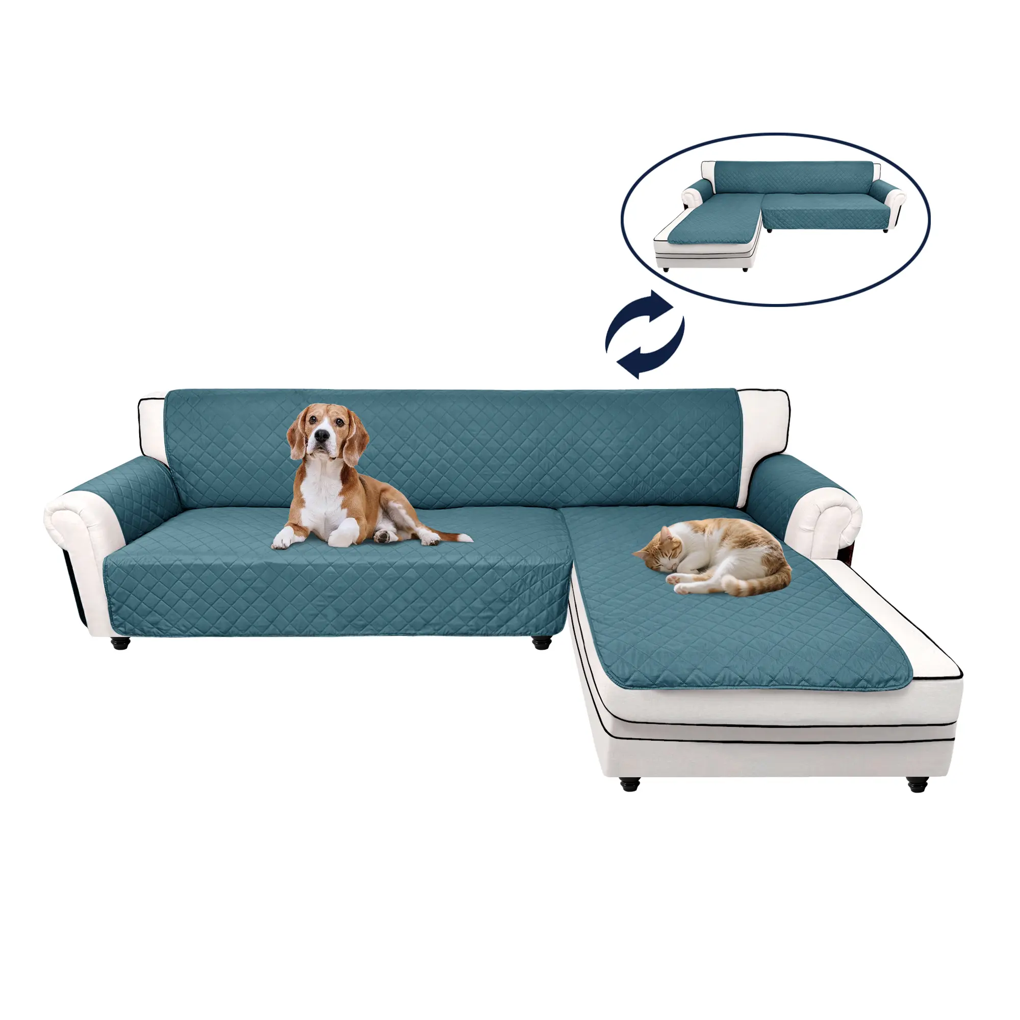 Peacock Blue/Peacock Blue