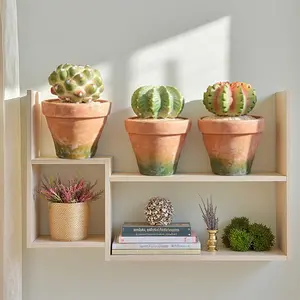 Fake Succulent with Warm White & Color Changing Lights, Lifelike Artificial Succulent Plants, Faux Cactus Light Up Plants for Desk Shelf Living Room Bedroom Decor, Set of 3 Shape