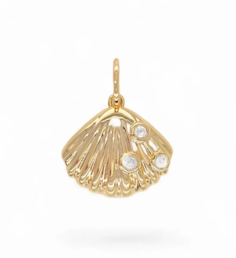 Shell Charm