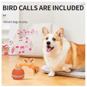 Cross-Border Pet Smart Rolling Ball – Dog Relief Intelligent Bite-Resistant Funny Dog Ball Teething Toy