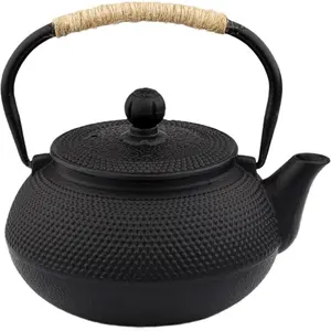 20.3oz Only, Small  Kettle for 1-2 Cups,  Tetsubin, Cast Iron Teapot with Stainless Steel Infuser for Loose Leaf & Coffee,  Pot for Stovetop Safe, Enamel Interior(Black, 600ml)