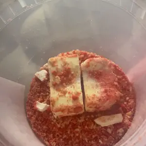 G-BOX Freeze Dried Ice Cream | Crunch Strawberry Shortcake Ice Cream Bites - Perfect for Camping, Outdoor, and Party - Air-tight Sealed in a Deli Container