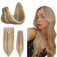 Light Blonde Highlights (16/22)