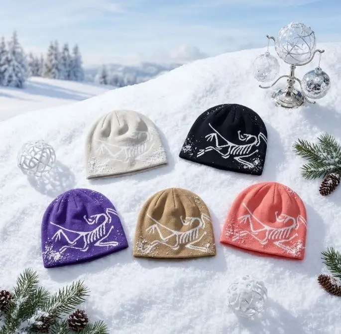 Arc'teryx Bird Skull Beanie Knit Winter Hat Warm Stretch Unisex Outdoor Hiking Ski Snowboard Streetwear Casual Fashion Cap Black Gray
