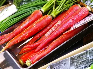 Kintoki Red Carrot Seeds
