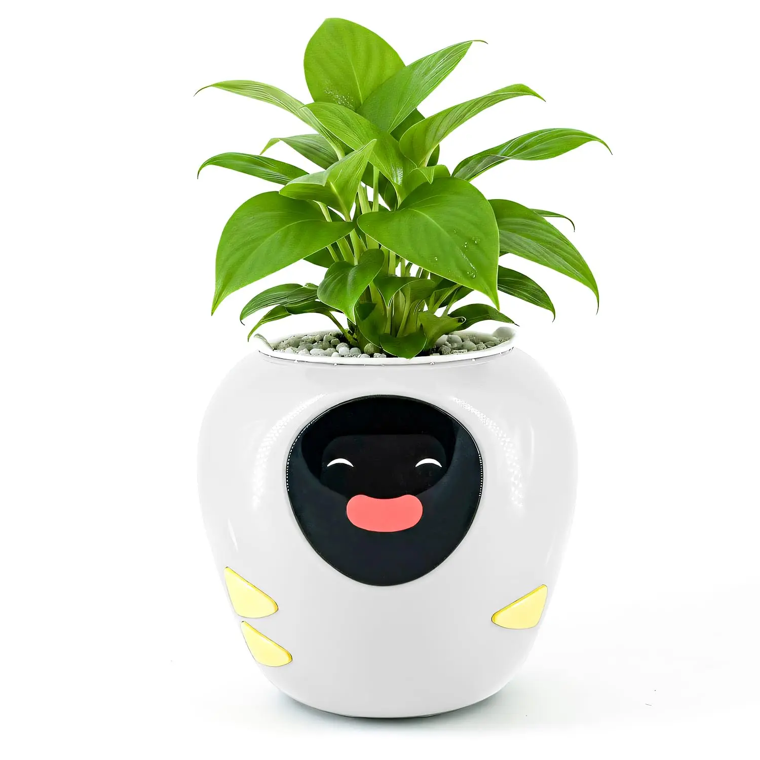 New 2026 Smart Planter,Plantbot Upgraded Large Smart Flower Pot Pet Planter Robot, Large Interactive Plant Pot, Pet Plantagotchi, Flower Pot with Feelings, Indoor Flowerpot with Water, Digital Gifts
