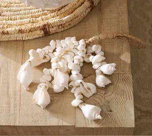 White Shell Rope