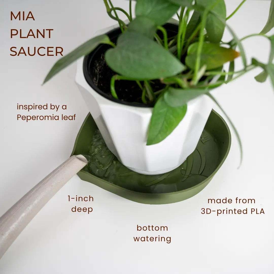 Mia™ - Bottom Watering Plant Saucer