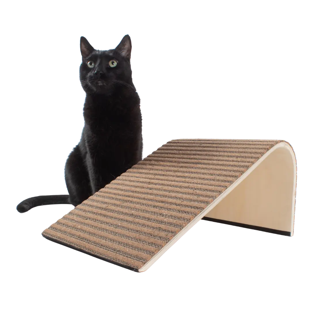 Scratchify! Incline Scratcher by Jackson Galaxy Scratchify! Incline Scratcher by Jackson Galaxy