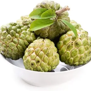 50+ Heirloom Sugar Apple Tree Garden Seeds for Ideal Bonsai or Patio Plant - Annona Squamosa - Sweetsop
