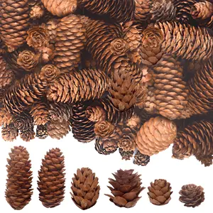 120PCS Christmas Natural Pine Cones Mini Pinecones Vase Fillers Garland Pineflower Ornaments Table Centerpieces Crafts Gift for Fall Winter Xmas Tree Wreath Wedding Decoration