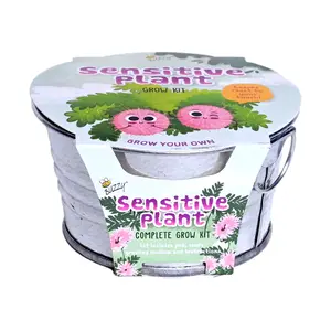 Sensitive Plant Grow Kit | Mini Basin for Kids