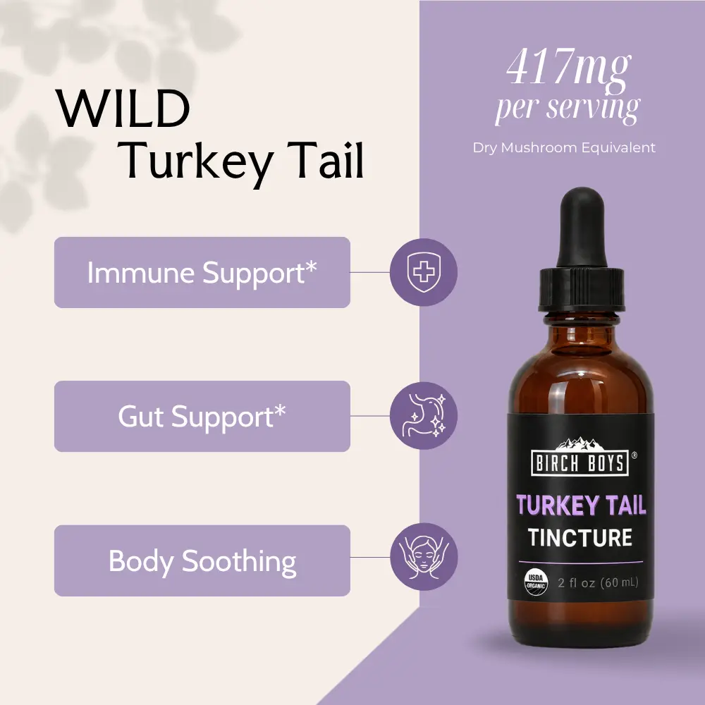 Organic Turkey Tail Tincture