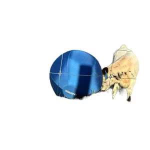 25'' Herding Ball for Dogs - Durable Outdoor  for Australian Shepherds, Border Collies, Cattle Dogs & Medium to Large Breeds (Blue)