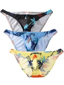 Men's Lace Ultra-Thin Mesh Print Breathable Semi-Transparent Triangle Briefs, Slim-Fitting Low Waist Comfort Elastic Fashion Shorts, Underwear, Soft Breathable Briefs, Stretchy Underwear, Stylish Brief