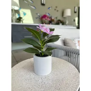 Francis - Pacific Rhododendron Artificial Indoor Plant in Cement Vase