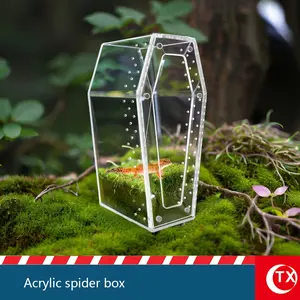 1pc Transparent Acrylic Pet Feeding Enclosure, Suitable for Tarantulas, Spiders, Lizards, Insects, Mantises, and Other Reptiles.Features Ventilation Holes and a Magnetic Lid Panel for a No-Assembly Design, Providing a Comfortable