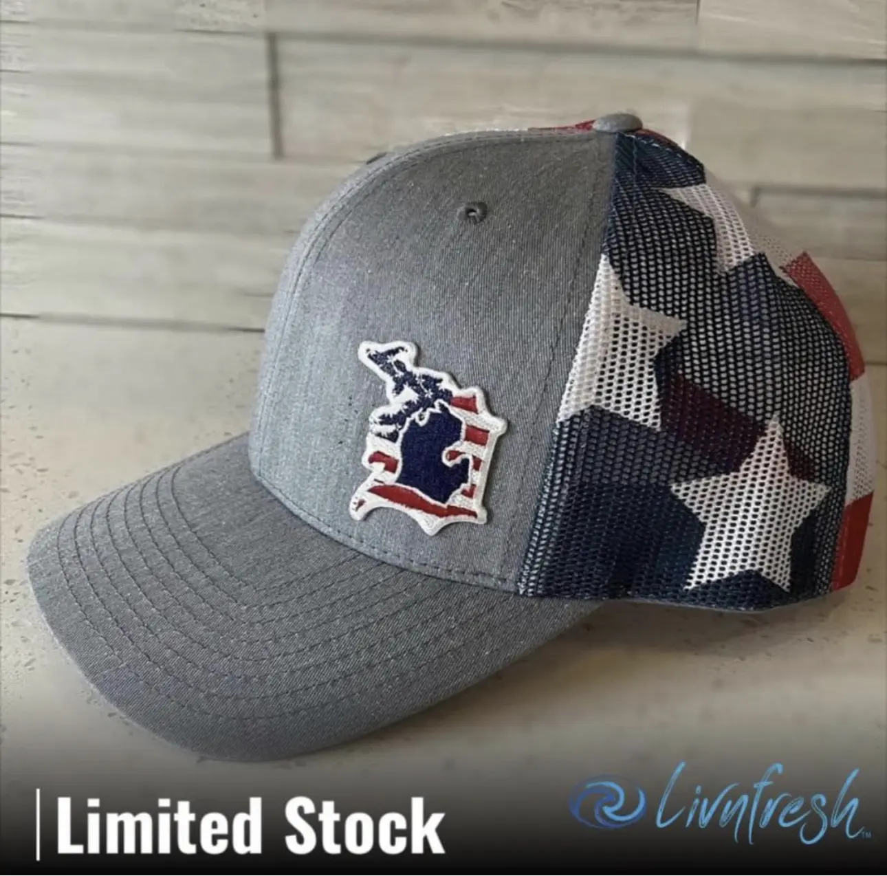 MICHIGAN D FLAG" TRUCKER HAT