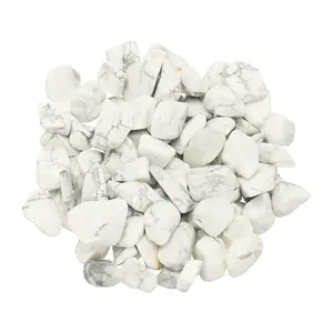 PETAXCELL Crystal Chips Stone, 0.44 Lb Fluorite Gravel Rocks (Howlite, 9 - 21 Mm)