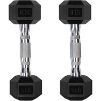 RitFit 5lb dumbbell set