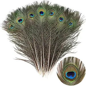 24 count Peacock Feathers Long  in Bulk 14-16 inch 35-40 cm for Craft Vase Wedding  Party Christmas Day Decoration Peacock Feathers