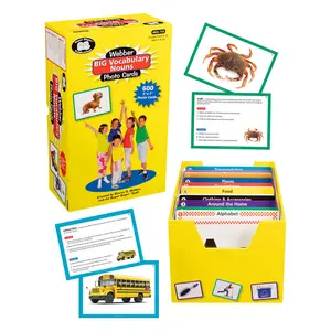 Webber BIG Vocabulary Nouns Photo Cards – Speech Therapy Flash Cards for Building Vocabulary, Noun Identification, Language Development for Kids, ESL Learners & Special Education Resources