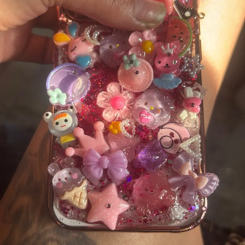 Junk case