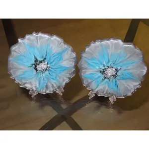 Pair of Acrylic Coasters