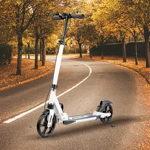 adult kick scooter，foldable scooter，Portable scooter，kick scooter Adjustable Handlebar Height （Not electric）
