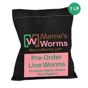 Pre-Order Live Worms (1 LB) – Red Wigglers or European Nightcrawlers