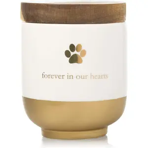 Pet Ceramic Forever in Our Hearts Urn Pet Memorial Dog Or Cat Keepsake Urn Rainbow Bridge Gold