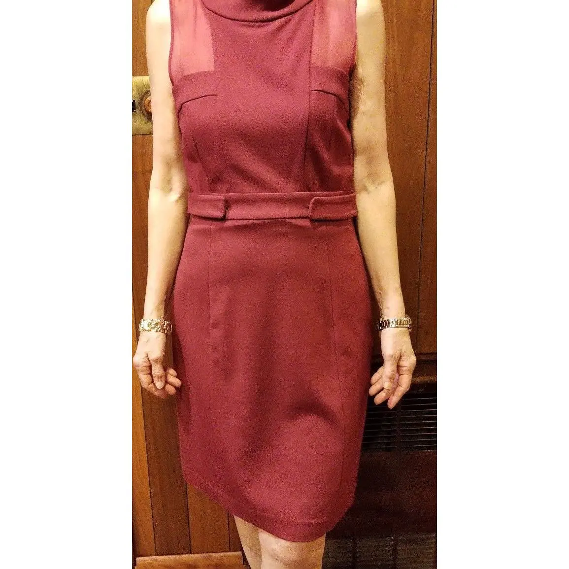 Cynthia Steffe Knee Length Size 6 Burgundy Dress