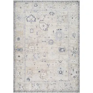 Toddy Area Rug