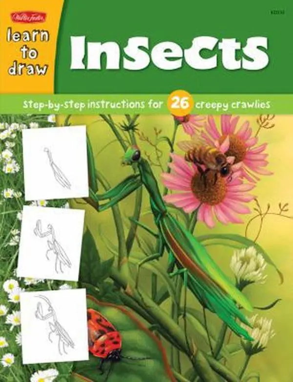 USED Book - Learn to Draw Insects: Step-by-Step Instructions for 26 Creepy Crawlies by Diana Fisher (Paperback) - english