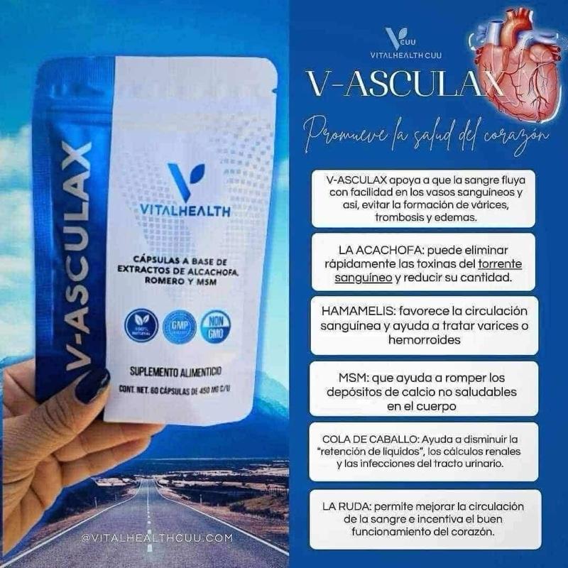 Vital Health V-ASCULAX Artichoke Rosemary & MSM Supplement for Circulation & Wellbeing 100% Natural Vegan Non-GMO GMP Certified 60 Capsules
