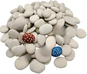 Tiny White Painting Rocks DIY Rocks for Painting Detail-Painting Smooth Surface Stones,Arts and Crafts ，1.0 to 1.5 inches ，So Small Rocks, Hand Picked for Painting Rocks (1LB)