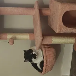 Yaheetech 34.5″ Cat Tree, Multi Level Cat Tower Cat Activity Center Scratching Post Indoor Furniture Cat Bed with Basket for Kittens