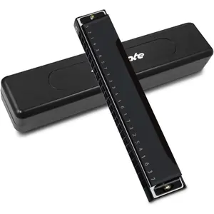 Blues Harmonica 24 Hole C Key with Case, Mouth Organ Harp, Diatonic Harmonica for Beginner, Adult, Professional, Students, , Gifts, Black