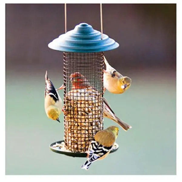 212 MAIN Mini Sunflower Magnum Bird Feeder - Steel, Open Top, Easy Access Bird Feeder Station, Pet Feeding Supplies, Bird Supplies