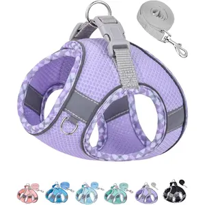 Dog Harness for Small Medium Dogs No Pull, Puppy Harness and Leash Set, Step in Dog Harness for Walking, Running, Training, Small Dog Vest(Purple, S)