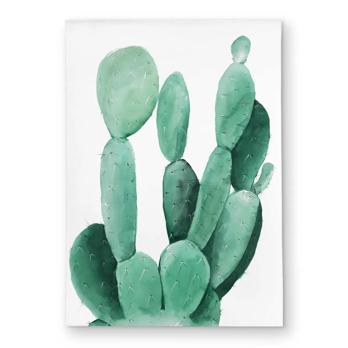 212 MAIN Watercolor Paddle Cactus Indoor Outdoor Rug - 5x7 ft, Weatherproof Chenille Print Botanical Exotic Rectangular Decor Piece for Home (Model C1ROAR573LTFBH), Botanical Area Rugs
