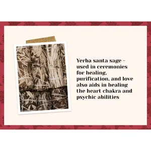 Yerba santa sage Yerba santa sage
