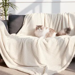 Pineapple Leaf Blanket, a thick and soft blanket suitable for placement on the sofa, applicable throughout the year, lightweight yet warm. This soft blanket can bring you ultimate comfort, warmth and lightness.