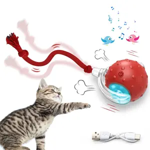 PetFusion Cat & Dog Toy Interactive USB Rechargeable Ball Toy on Rug with Bird Chirping Anti-Depression Fun Gift for Cats & Dogs