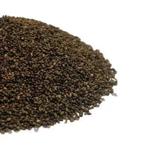 Organic Mullein Seeds - 500 Count, Non-GMO